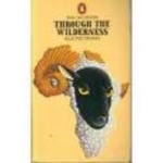 Jacobson, Dan - THROUGH THE WILDERNESS - selected stories