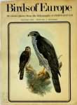 John Gould 17056 - Birds of Europe volume one