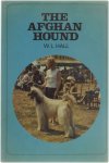 W.L. Hall - The Afghan Hund