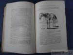 Miguel de Cervantes Saavedra / Lucien Biart (adapt.) et Tony Johannot (ills.). - Don Quichotte de la Manche. Edition spéciale a l'usage de la jeunesse par Lucien Biart. Illustrée de 316 dessins par Tony Johannot.