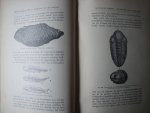 FLAMMARION, C. BEWERKT DOOR GOUDSMIT, B.C. DR. - De Wereld voor de schepping van den mensch