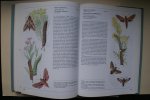 Zahradnik, Jiri; Severa, Frantisek - biologie: HET BOEK IN KLEUR OVER INSEKTEN met 900 afbeeldingen in kleur