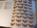 Skinner, Bernard & David Wilson (ill) - The colour identification guide to Moths of the British Isles