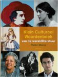 Pieter Steinz 59781 - Klein ABC van de wereldliteratuur