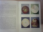 Ministerie van Landbouw - Kleurafbeeldingen van Bewaarziekten bij Fruit