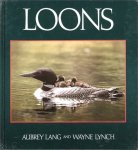 Aubrey Lang ,  Wayne Lynch 49227 - Loons