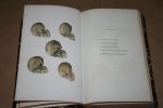 Dr. D. Lubach - Natuurlijke historie van Nederland -- De bewoners van Nederland
