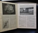 redactie - Handelsblad voor den Tuinbouw 1932/1934