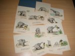 Busch, Wilhelm - Die Rache des Elephanten