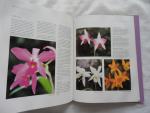Rittershausen  Brian & Wilma - ORCHIDEEËN Alles over de teelt en verzorging van orchideeën