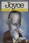 David Norris & Carl Flint - Joyce voor beginners