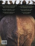  - De geïllustreerde dierenencyclopedie