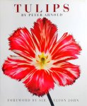 P. Arnold - Tulips