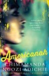 Ngozi Adichie, Chimamanda - Americanah