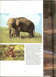Dolder, Willi en Ursula foto's en  tekeningen  Vertaald door Ruud Rook Dit rijk geillustreerde boek is bedoeld voor iedereen die van dieren houdt - Fascinerende dieren .. In woord en beeld langs alle grote reservaten.