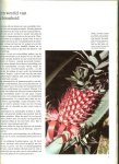 Hoek, K.A. van den en Wim Neven - Het Exotische Plantenrijk  - De wonderlijke natuur