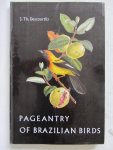 Descourtilz, J.Th., Mooijen, J. - Pageantry of Brazilian birds in their natural surroundings