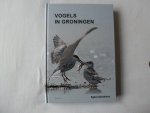 Boekema, Egbert - Vogels in Groningen