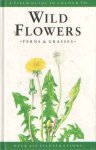 Slavik, Bohumil - A Colour Guide to Wild Flowers : Ferns and Grasses