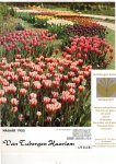  - Nursery catalogue Van Tubergen Haarlem autumn 1955.