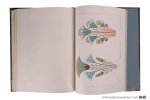 Sauvageot, Claude. - Enseignement du dessin par les solides applicable dans les écoles primaires, professionnelles & supérieures. Atlas explicatif de 58 planches lithographiées dont 13 planches en chromolithographies et six taille-douce. Avec texte illustré de 341... Sauvageot, Claude. - Enseignement du dessin par les solides applicable dans les écoles primaires, professionnelles & supérieures. Atlas explicatif de 58 planches lithographiées dont 13 planches en chromolithographies et six taille-douce. Avec texte illustré de 341...