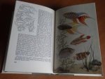 Vogt, D; Wermuth, H. - Thieme's aquarium- en terrariumboek. Handboek voor de vivariumkunde