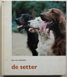Rheenen, Jan van - De Setter