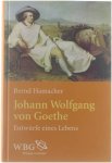 Bernd Hamacher - Johan Wolfgang von Goethe. Entwurf eines Leben