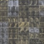 Petitjean, J. - Danny Matthys