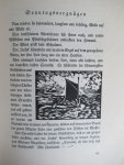 Ursina, Charlotte - Erasmus Ursina, Charlotte - Erasmus