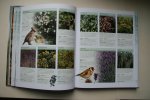 Burton, Robert - Complete gids voor het aantrekken en observeren van vogels in de tuin VOGELS OVER DE VLOER