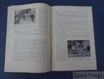 J. Hiemeleers en Weyns, Jozef. - De kruidtuin in het Openluchtmuseum te Bokrijk.
