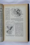 Ihle, Prof.Dr.J.E.W - Leerboek der vergelijkende ontleedkunde van De vertebraten. Deel 2 (3 foto's)