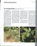 Radtke Wolfgang Dr ned vertaling Beemster A.B.R. - ziekten en plagen van de aardappel
