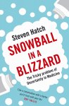 Steven Hatch 193414 - Snowball in a blizzard