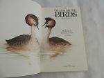 John Gooders; Terence Lambert - norman arlott - COLLINS BRITISH BIRDS