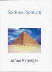 Pameijer, Johan M. - Spiritueel Springtij