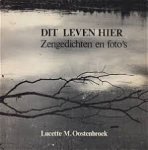 Oostenbroek - Dit leven hier