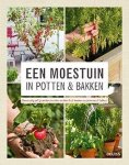 Philippe Asseray - Een moestuin in potten en bakken