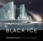 David Blackwood ,  Katharine Aileen Lochnan 224510,  Gary Michael Dault 214766,  Art Gallery Of Ontario - Black Ice