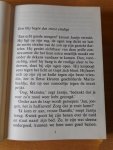 Gils, Ad van - Het kleine imperium