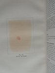 Gorter, E./ Graaff, W.C. de - Klinische diagnostiek. Deel 2