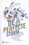 Gert Peersman, Koen Schoors - De perfecte storm hoe de economische crisis de wereld overviel en vooral hoe we eruit geraken