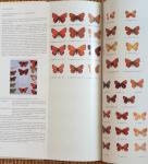 D'Abrera, B - Butterflies of the Holarctic Region, Part III