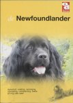 Onbekend - Newfoundlander
