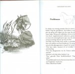 Kan Hemmink, Henriette   Omslag en Illustraties  Melanie Broekhoven - Superbink  uit de Pony Friends Serie