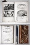 MARQUAM, H., - Promenade en Amérique, ou, Scènes instructives & pittoresques, propres à faire connaître aux enfans les moeurs, les coutumes, les monuments et les beautés naturelles de cette partie du monde. Imité de l'Anglais. MARQUAM, H., - Promenade en Amérique, ou, Scènes instructives & pittoresques, propres à faire connaître aux enfans les moeurs, les coutumes, les monuments et les beautés naturelles de cette partie du monde. Imité de l'Anglais.