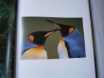Lanting, Frans, Christine Eckstrom - Oog in oog
