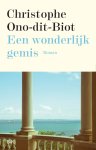 Christophe Ono-Dit-Biot - Een wonderlijk gemis
