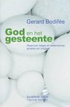 Gerard Bodifee - God en het gesteente waarover religie en wetenschap spreken en zwijgen